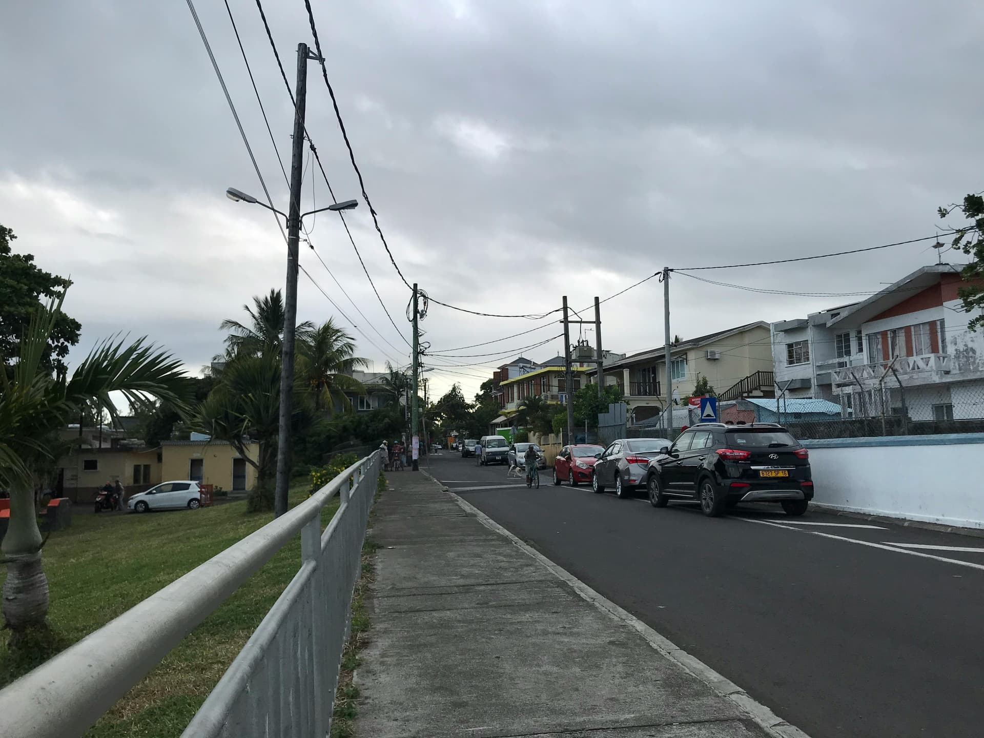 Person looking confused at a phone with social media icons and fiber-rich foods
